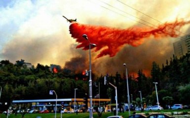 Крупный город Израиля эвакуируют из-за пожаров: появились впечатляющие фото и видео