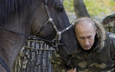 Путін і коні: з'явилися нові жарти і відео