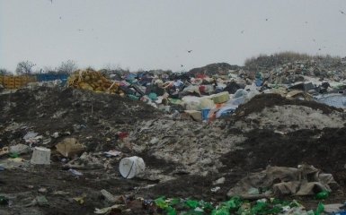 Проблема львівського сміття: в мережі вже придумали сценарій комедії
