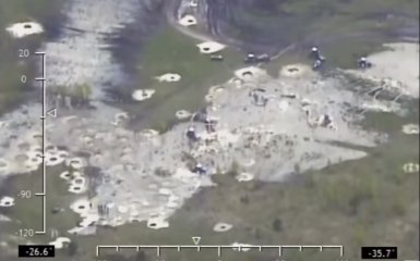 Новые янтарные прииски: пограничники показали видео с самолета