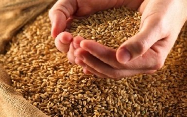 В Україні з'явився банк зерна