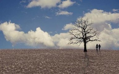 Человечество исчерпало запас природных ресурсов на 2020 год - что будет дальше