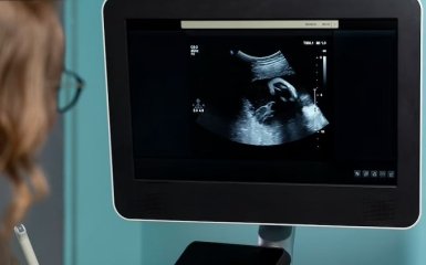 Ученые впервые создали человеческие эмбрионы без яйцеклеток и сперматозоидов