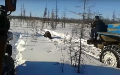Жуткая история с медведем в России: появилось видео допроса одного из убийц
