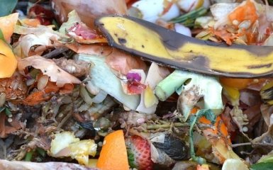 Науковці розробили дешевий спосіб отримання екологічного палива