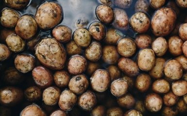 Пешком в Беларусь за картофельными очистками, чтобы выжить. Очевидец Голодомора рассказал о своем детстве