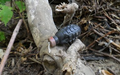 На Луганщине трое мирных жителей подорвались на растяжке