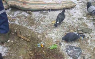 Страшний злочин підлітків в Дніпрі: з'явилися нові подробиці