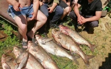 «Збираємо рибу голими руками»: повінь на Одещині принесла селянам неочікувані подарунки (фото, відео)