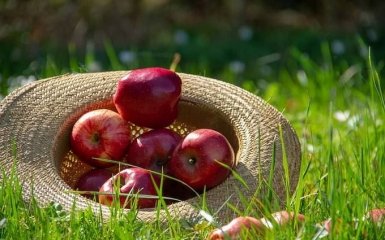 Яблучний Спас 2021: традиції, суворі заборони і найкращі привітання