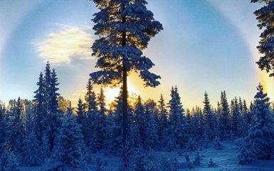 Украину начало засыпать снегом: зрелищные фото и видео настоящей зимы
