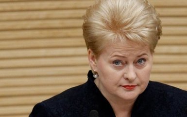 Президент Литви яскраво привітала Україну з Днем Незалежності: опубліковано відео