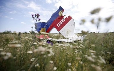 Загибель MH17 на Донбасі: у Луценка зробили пропозицію свідкам