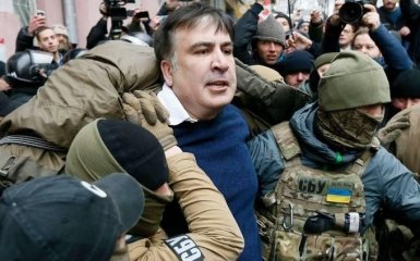 Задержание Саакашвили: мать политика сделала неожиданное заявление