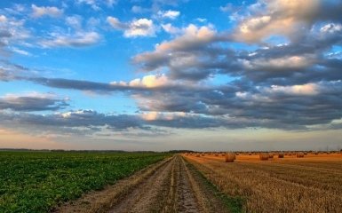 ЕС рассказал об условиях успешного запуска рынка земли в Украине