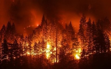 Россия в огне: эксперты придумали, как потушить масштабные пожары