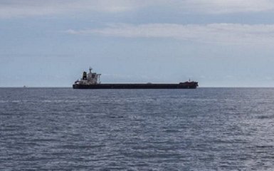 Звинувачення СБУ на адресу танкера "Мрія" засновані на "Print Screen з новинного сайту", - Чалий