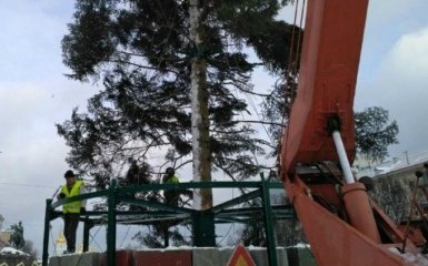 В Киеве началась установка главной елки Украины: появились фото