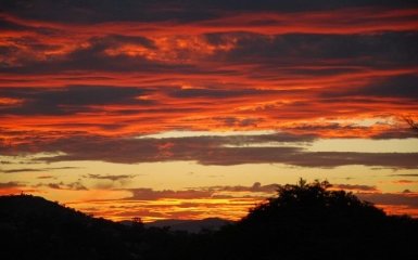 Науковці прогнозують, що через 30 років клімат у Києві нагадуватиме Австралію