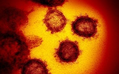 Пандемія COVID-19: вчені з'ясували, на яких поверхнях затримується коронавірус