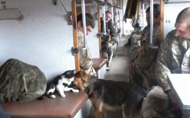 Сеть поразило фото возвращения бойцов АТО с Донбасса