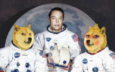 У монеты Dogecoin появилась "жена" — она выросла на 3000% за день