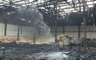 Ночью РФ ударила дронами по зернохранилищам в Одесской области