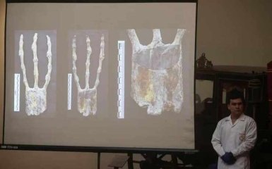 мумии-инопланетяне