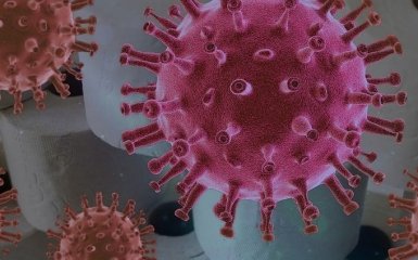 Новая вспышка коронавируса под Киевом - есть жертвы