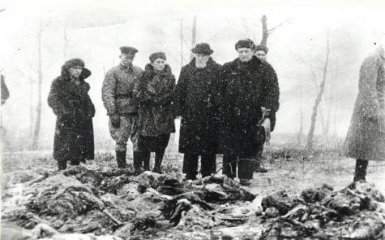 "Туда сбрасывали еще живых младенцев" - СБУ открыла архив свидетельств о Бабьем Яре