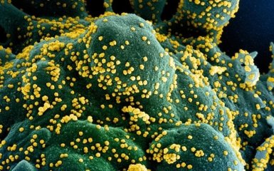 Ученые выявили новую опасность коронавируса - в чем кроется угроза