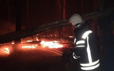 У МВС показали, хто розпалює масштабні пожежі на Луганщині