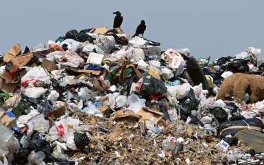 За свята з Києва вивезли два потяги сміття