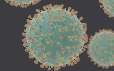 Вчені знайшли слабке місце коронавірусу COVID-19 - що про це відомо