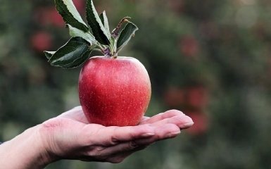 Буде катастрофа: експерт здивував українців новим прогнозом