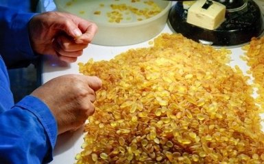 Соцсети смеются над копателями янтаря: надо рассказать им о залежах в Донецке