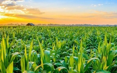 5 країн ЄС змусили Єврокомісію заборонити імпорт окремих українських агротоварів
