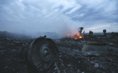 Нідерланди зробили заяву про винних у загибелі MH17 над Донбасом