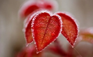 Синоптики попереджають українців про серйозне похолодання