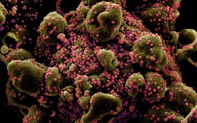 Ученые испытали лекарство от коронавируса с эффективностью в 99%