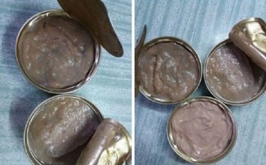 Как выглядит "гуманитарка" из РФ для Донбасса: появилось фото