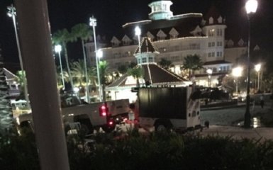 Трагедия с ребенком и аллигатором в США: появились новые подробности