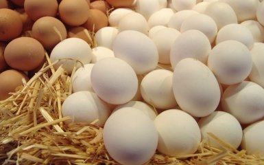 Израиль приостановил ввоз и продажу яиц из Украины