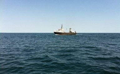 Экологи бьют тревогу: в Черном море вдвое больше мусора, чем в Средиземном