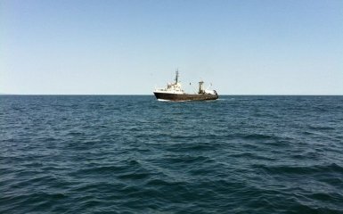 Екологи б’ють на сполох: у Чорному морі вдвічі більше сміття, ніж у Середземному