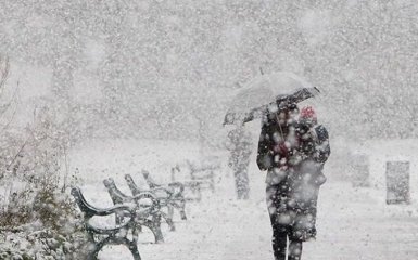 Снігопад в Україні викликав хвилю жартів в мережі: з'явилося безліч фотожаб