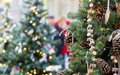 Где купить новогоднюю елку в Киеве — список и адреса официальных точек продаж