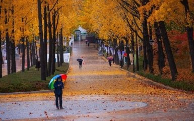 На Украину надвигается холодный атмосферный фронт - где ухудшится погода