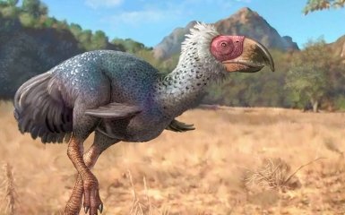 Птица террора