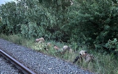 Польські добровольці заявили про участь у боях у Бєлгородській області  — відео